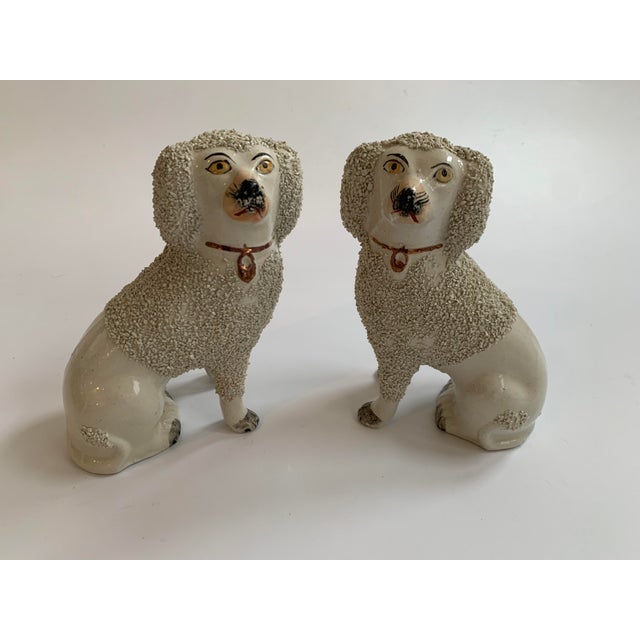 19th Century Staffordshire Poodles - a Pair For Sale - Image 12 of 13