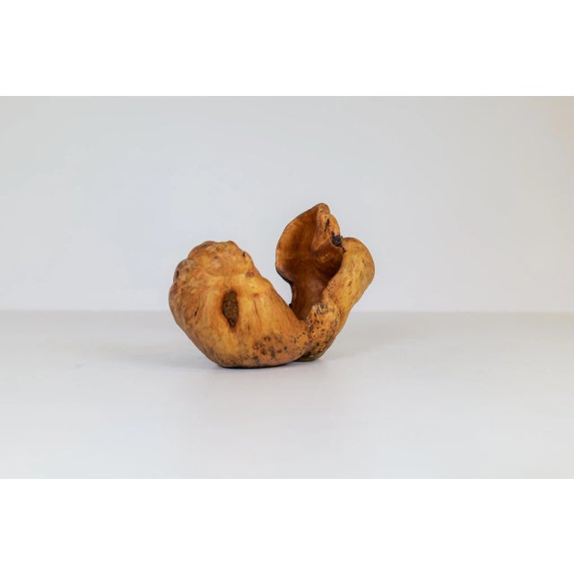 Wood Swedish Folk Art Burl Bowl, 1960s For Sale - Image 7 of 12