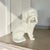 A miniature Victorian Staffordshire poodle modelled seated and holding a loop-handled basket in its mouth. The compact...