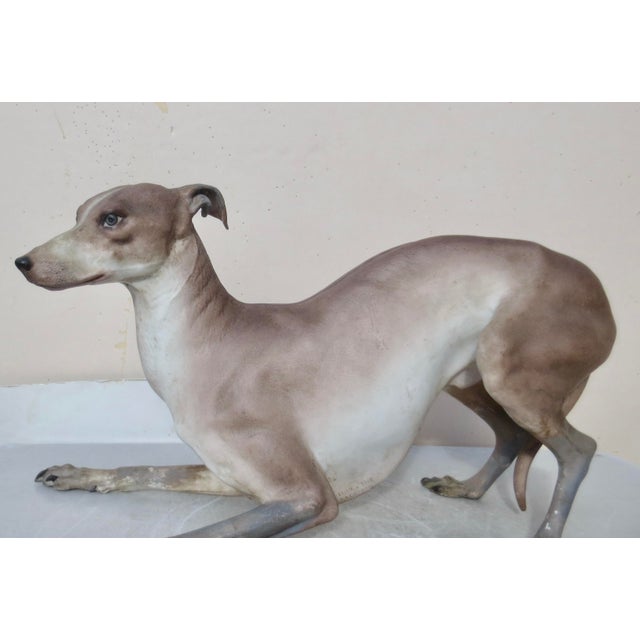 French Life Size Antique French Porcelain Grey Hound 1867 ( 159 Years Old) For Sale - Image 3 of 16