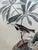 John James Audubon Mid 20th Century Framed John James Audubon "Bachmans Warbler" No 37 Print For Sale - Image 4 of 7