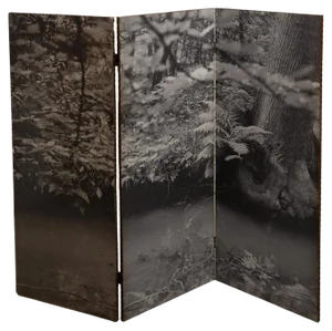 Black and White Forest Picture Folding Screen, Belgium, 1960s