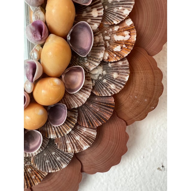 Contemporary Christa's South Seashell Mirror For Sale - Image 3 of 4