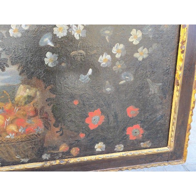 Mallorcan School Artist, Animal Composition, 18th Century, Oil Painting, Framed For Sale - Image 8 of 14