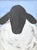 Farmhouse Folk Art Woolly Sheep Lamb Oil Painting Including the Antiqued Gold Wood Frame For Sale - Image 3 of 5