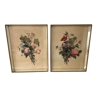 Botanical Engravings - Mirrored Glass Frames - A Pair For Sale
