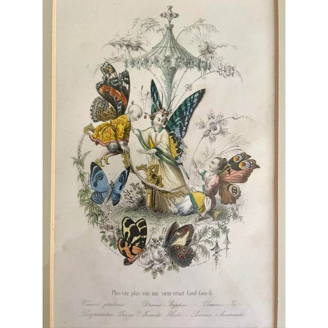 Mid 19th Century Mid 19th Century “Les Fleurs Animées” Original Hand-Painted Antique French Lithographs 1846, Set of 6, Framed For Sale - Image 5 of 12