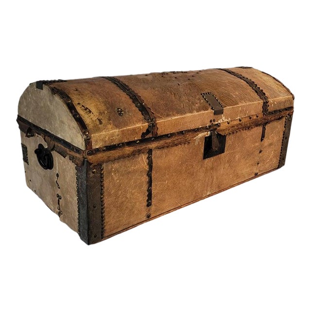 19th Century Cowhide Buggy Trunk For Sale