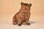 Ceramic 19th Century Austrian Terracotta Bear For Sale - Image 7 of 7