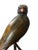 1980s Monumental Hand-Carved Wood Parrot Sculpture on Brass Stand — 58” Tall For Sale In Jacksonville, FL - Image 6 of 10