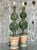 Wood Vintage Regency Topiary Lamps - A Pair For Sale - Image 7 of 11