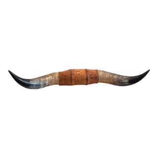 Monumental Texas Longhorn Horns With Tooled Leather Mount For Sale