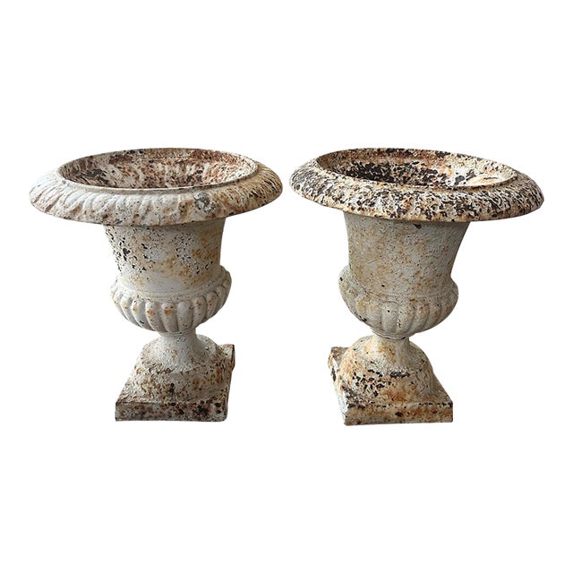 Pair of Small White Urn Planters For Sale