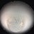 1970s Italian Angelo Vittorio Mazzega Murano Mushroom Flushmount Light For Sale - Image 12 of 12