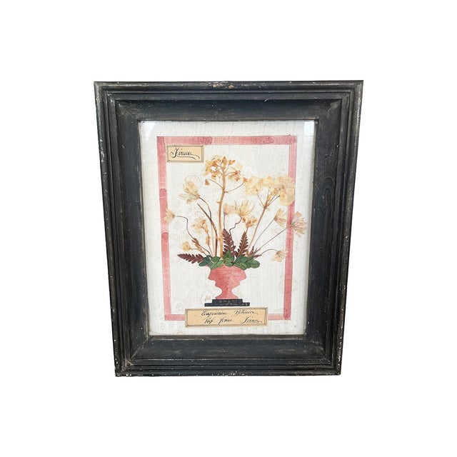 This set of botanical art work is circa 1880, French Herbier Botanical and Watercolor. It features dried and pressed...