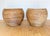Mid-Century Modern Coastal Boho Rattan Blonde Pod Tub Armchairs by Terence Conran for Habitat, 1980, Set of 2 For Sale - Image 10 of 18