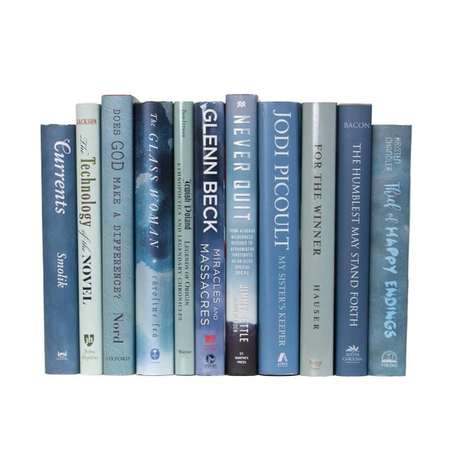 Modern Decorative Books - Storm Dust Jacket Book Bundle - 1 Foot of Blue Books For Sale - Image 3 of 4