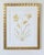 Original botanicals using graphite and gouache by artist Katie Binkley. Custom framed in gold checkered frame. 15.5" W x...