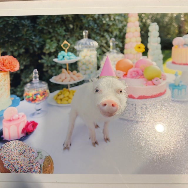 White Gray Malin Picnic Party II Photograph For Sale - Image 8 of 12