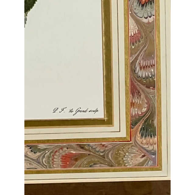 Vintage Botanical Rose Rosa Centifolia After Van Spaendonck Gilt Framed Print 1960's For Sale - Image 9 of 13