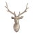 Large Carved Deer Head For Sale