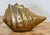 Vintage Mid-Century Modern Brass Conch Shell Planter For Sale - Image 4 of 6