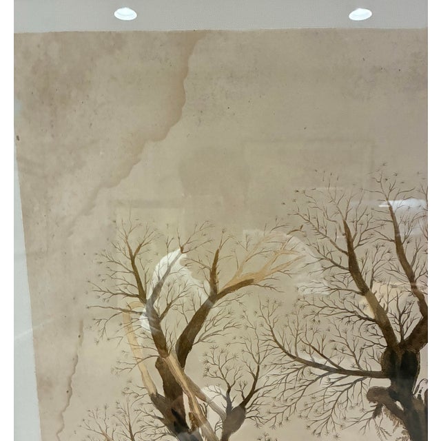 Natural Curiosities “Tubularia Ramea” Large Coral Tree Natural History Print, For Sale - Image 4 of 7