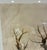 Natural Curiosities “Tubularia Ramea” Large Coral Tree Natural History Print, For Sale - Image 4 of 7