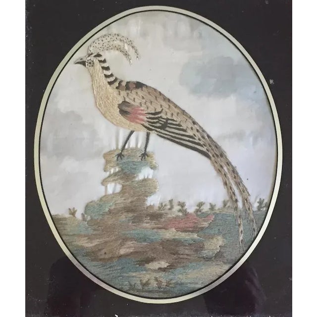 Antique 18th Century English George III Needlework of an Exotic Bird in Original Gilt Wood Frame For Sale - Image 4 of 11