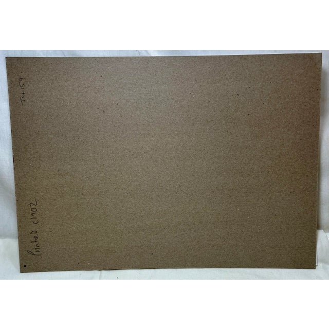 Antique Fish Print From England Featuring a Pandora, Bergylt, Shadow Fish, Swordfish , Hairtail & Scabbard Fish - Circa 1902 For Sale - Image 11 of 12