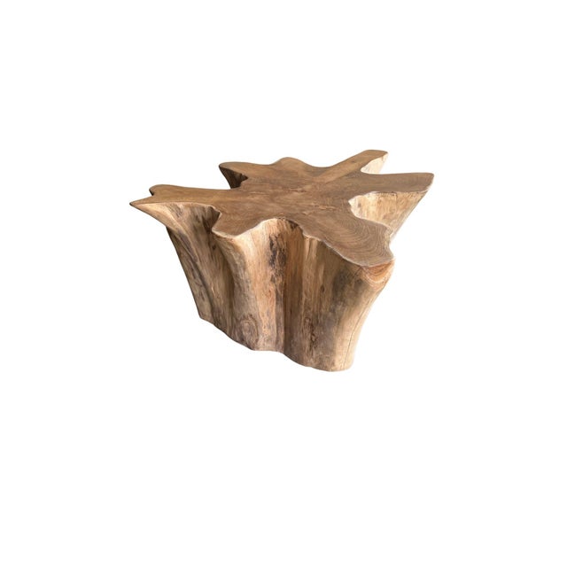 Sculptural Solid Teak Wood Sofa Table With Natural Grain & Bleached Finish For Sale - Image 11 of 11