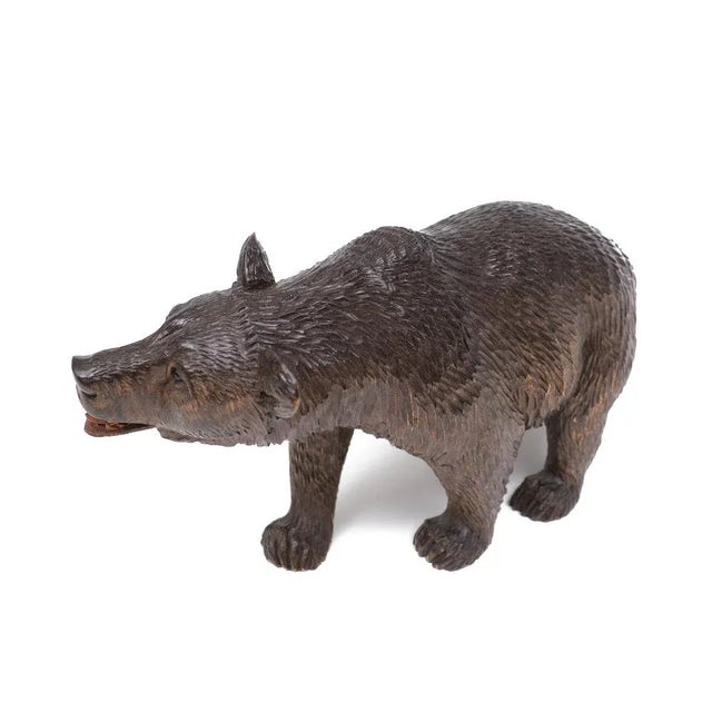 Black Forest Glass Eye Bear, Germany, 1920s For Sale - Image 3 of 9