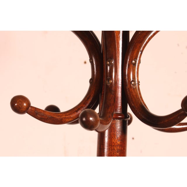 Wood Early 20th Century Art Nouveau Parrot Coat Rack For Sale - Image 7 of 10