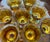 Gold Vintage Indiana Glass Harvest Grape Marigold Iridescent Pitcher and 8 Goblets - 9 pcs For Sale - Image 8 of 8