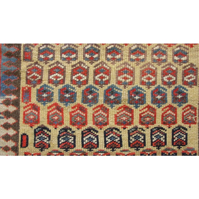 Tribal Antique Shirvan / Caucasian Runner, 3'6" × 13'8" For Sale - Image 3 of 10