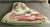 Textile Needlepoint Dog Pillow of a King Charles Spaniel For Sale - Image 7 of 11