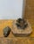 Mid 20th Century Mid 20th Century Bronze Toad Box on Marble Base For Sale - Image 5 of 5