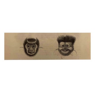Paul Gervais, The Monkeys, Original Lithograph, 1854 For Sale