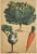 OLD & RARE! This is a matted original chromolithograph vegetable botanical that dates to the 1860's! The print has a...
