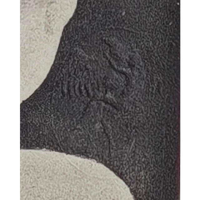 Edouard Manet, Portrait of Mrs. De Nittis in the Garden, Lithograph For Sale - Image 8 of 11