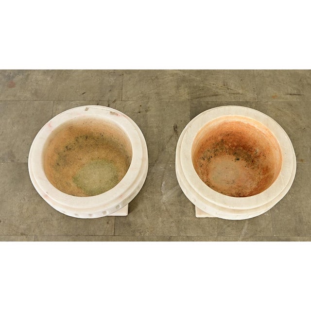 19th Century Portuguese 19th Century Pair of Carved Alabaster Urns For Sale - Image 5 of 10