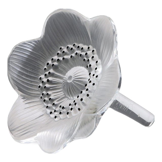 Glass Anemone from Lalique For Sale