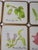 English Vintage Pimpernel Coasters Flower Garden England For Sale - Image 3 of 8