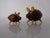 Vintage Pig-Shaped Teak Salt and Pepper Shakers, Denmark, 1960s, Set of 2 For Sale - Image 4 of 10
