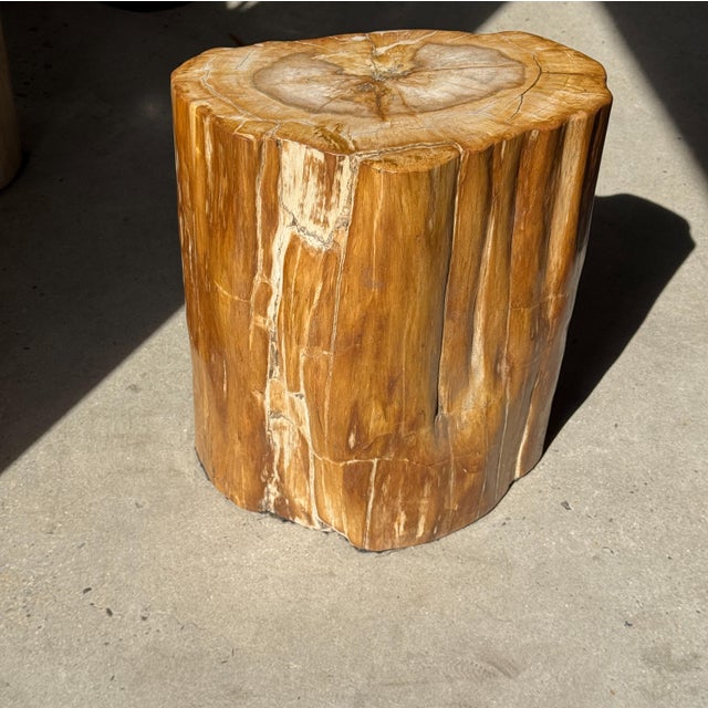 Oval Side Table in Petrified Wood, 1980s For Sale - Image 11 of 18