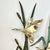 Rustic 1970s Vintage Arts & Crafts Boho Chic Brass Ducks With Verdigris Bronze Cat Tails Wall Sculptural Object. For Sale - Image 3 of 10