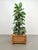 1970s Large Vintage Pine and Earthware Planter, Denmark, 1970 For Sale - Image 5 of 8