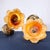 This pair of authentic Feldman Lighting Co. sconces features sculptural 6-inch diameter resin flowers. Verified by the...