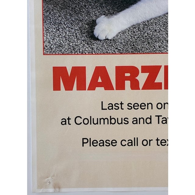 21st Century "Lost Marzipan" Outsider Street Pop Art of San Francisco For Sale - Image 4 of 9