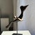 Traditional Indonesian Decorative Wooden Bird on a Base with a Crest and Rounded Wings For Sale - Image 11 of 16